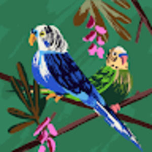 Meet your Posher, Maggie